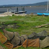 Bages 08