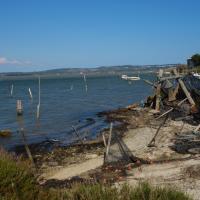 Bages 11
