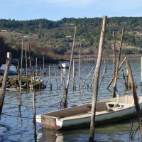 Bages 22