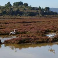 Bages 26