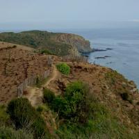 Banyuls 09