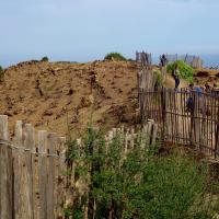 Banyuls 12