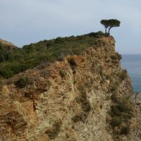 Banyuls 13