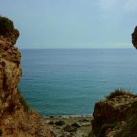 Banyuls 14