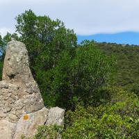 Montalba-Bélesta_Puits à glace III