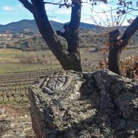 Montner-Latour-de-France_Roca d'En Talou