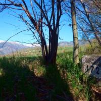 Borne 472-Canal de Camp d'Ur (Enveigt-Puicerda)