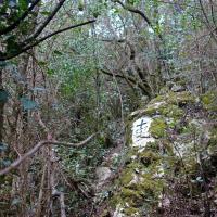 Borne 537-Clot de la Blada (Coustouges-Albanya)