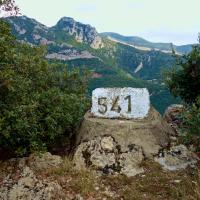 Borne 541-Puig d'en Roger (Coustouges-Albanya)