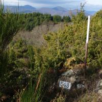 Borne 543-Collada d'en Proi (Coustouges-Albanya)