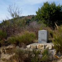 Borne 545-Pla de Mont Capell (Saint-Laurent de Cerdans-Maçanet de Cabrenys))