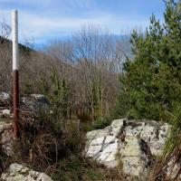 Borne 547-Pla de la Falguerona (Saint-Laurent de Cerdans-Maçanet de Cabrenys))