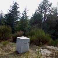 Borne 550-Corral de la Falguerona (Saint-Laurent de Cerdans-Maçanet de Cabrenys))