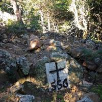 Borne 555-Serrat Pelat (Maureillas-La Vajol)