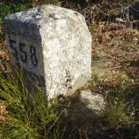 Borne 558-Pla de la Pedra Dreta (Maureillas-La Vajol)