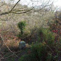 Borne 560-Closa d'en Joan Pere (Maureillas-Agullana)