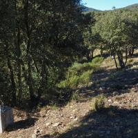 Borne 567b-Coll de Panissars (Le Perthus-La Jonquera)