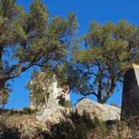 Borne 568-Coll de Panissars (Le Perthus-La Jonquera)