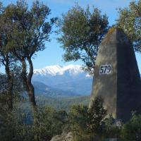 Borne 579-Serra de Puig Moll (Le Perthus-La Jonquera)