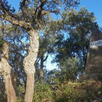 Borne 579bis-Puig Moll (Le Perthus-La Jonquera)