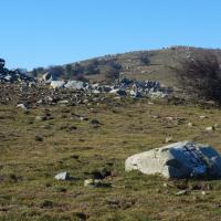 Borne 585-Coll de l'Orri (Sorède-Espolla)