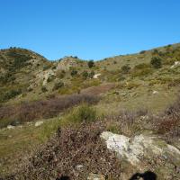 Borne 593-Coll del Torn (Banyuls-Rabos)