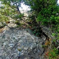 Borne 596-Coll de Taravaus (Banyuls-Portbou)