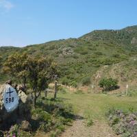 Borne 598-Coll de la Farella (Cerbère-Portbou)