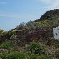 Borne 599-Coll del Frare (Cerbère-Portbou)