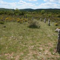 Blandas (30)_Causse de Blandas_Cromlech Lacalm de Peyrarines