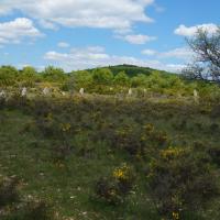 Blandas (30)_Causse de Blandas_Cromlech Lacalm de Peyrarines