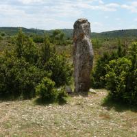Blandas (30)_Causse de Blandas_Cromlech Lacalm de Peyrarines