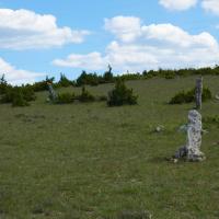 Blandas (30)_Causse de Blandas_Cromlech Lacalm de Mercoulines ou de la Rigalderie