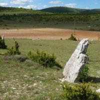 Blandas (30)_Causse de Blandas_Cromlech Lacalm de Mercoulines ou de la Rigalderie