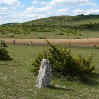 Blandas (30)_Causse de Blandas_Cromlech Lacalm de Mercoulines ou de la Rigalderie
