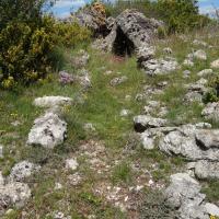 Blandas (30)_Causse de Blandas_Dolmen d'Arques