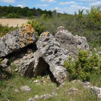 Blandas (30)_Causse de Blandas_Dolmen d'Arques