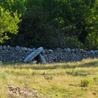 Blandas (30)_Causse de Blandas_Dolmen du Barral