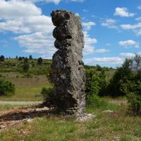Blandas (30)_Causse de Blandas_Menhir d'Avernat