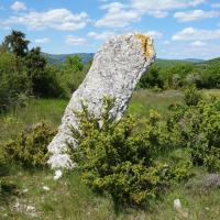 Blandas (30)_Causse de Blandas_Menhir de Landre