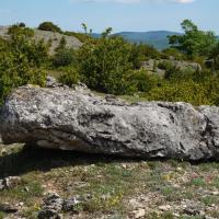 Blandas (30)_Causse de Blandas_Menhir de Landre II