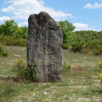 Blandas (30)_Causse de Blandas_Menhir du Planas