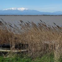 Canet - Village des Pêcheurs 05