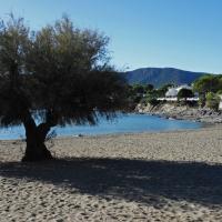 Llançà_Platja de Grifeu