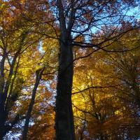 Coll de l'Ullat 01