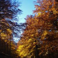 Coll de l'Ullat 02