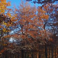 Coll de l'Ullat 03