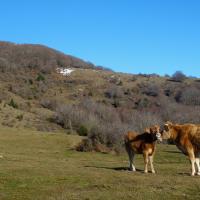Coll de l'Ullat 11