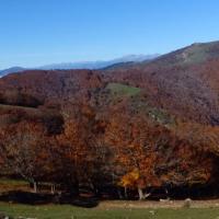 Coll de l'Ullat 13