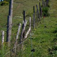 Coll de l'Ullat 24